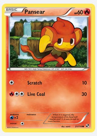 Pansear — catalogusbeeld