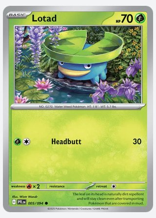 Lotad — catalogusbeeld