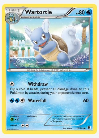 Wartortle — catalogusbeeld
