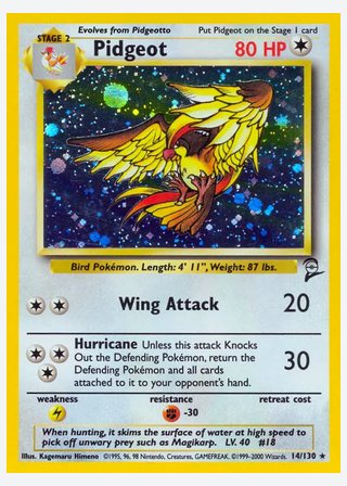 Pidgeot — catalogusbeeld