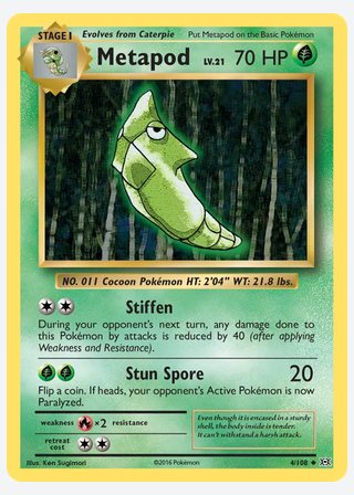Metapod — catalogusbeeld