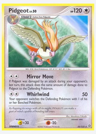 Pidgeot — catalogusbeeld