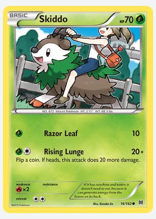 Skiddo — catalogusbeeld