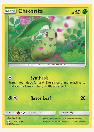 Chikorita — catalogusbeeld