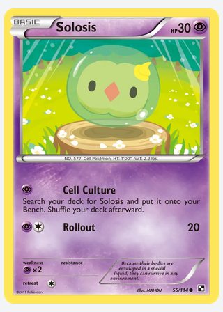 Solosis — catalogusbeeld