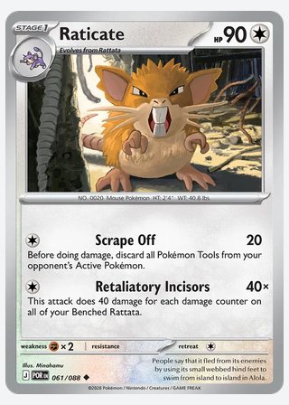 Raticate — catalogusbeeld