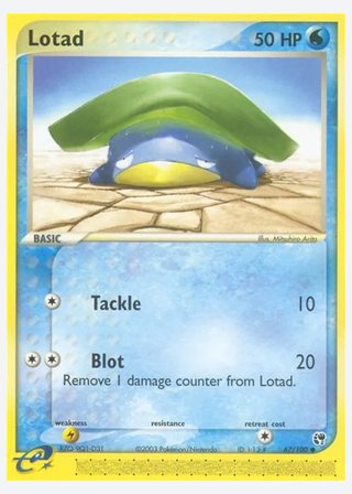 Lotad — catalogusbeeld