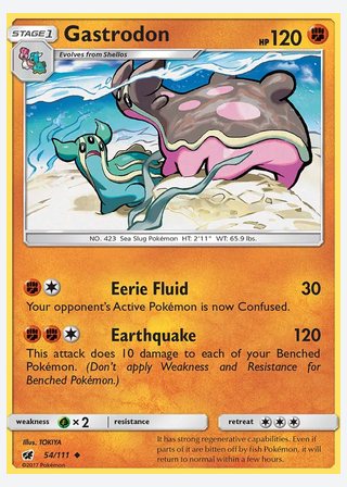 Gastrodon — catalogusbeeld