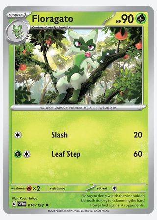 Floragato — catalogusbeeld