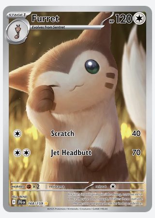 Furret — catalogusbeeld
