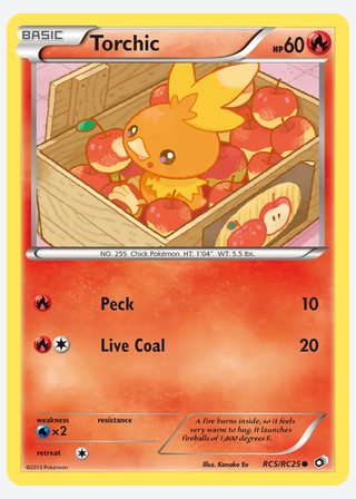 Torchic — catalogusbeeld