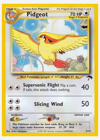 Pidgeot — catalogusbeeld