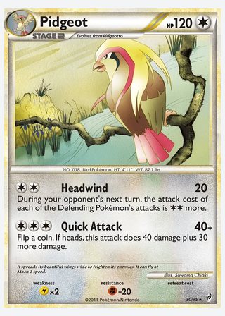 Pidgeot — catalogusbeeld