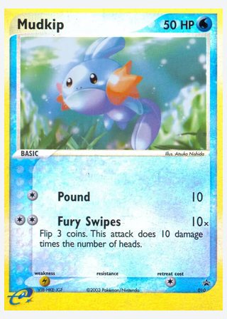 Mudkip — catalogusbeeld