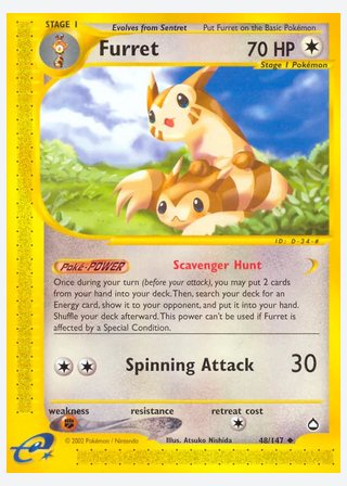 Furret — catalogusbeeld