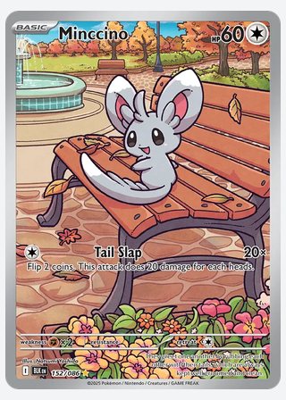 Minccino — catalogusbeeld