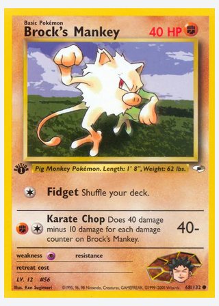 Brock's Mankey — catalogusbeeld