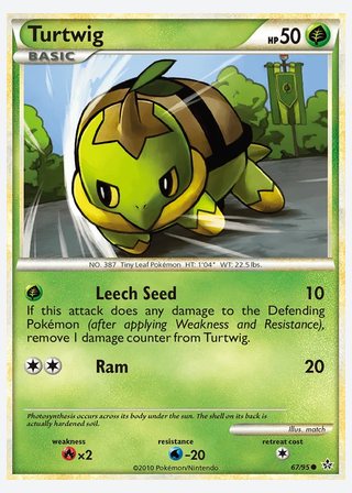 Turtwig — catalogusbeeld