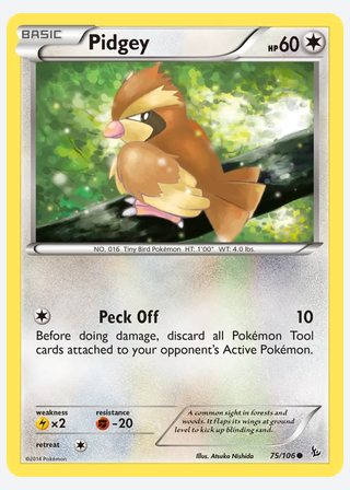 Pidgey — catalogusbeeld