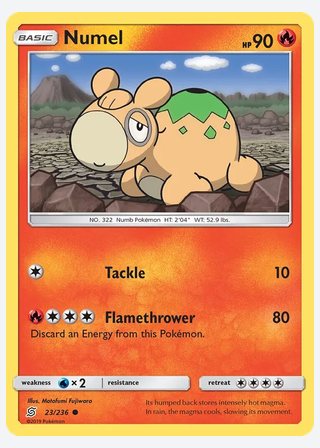 Numel — catalogusbeeld