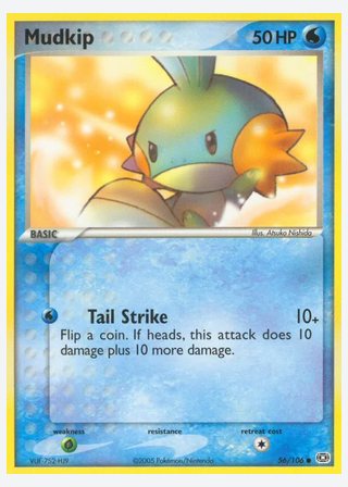 Mudkip — catalogusbeeld