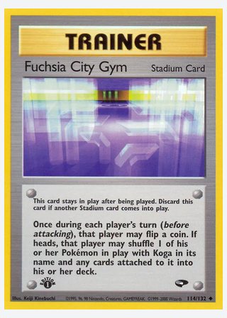 Fuchsia City Gym — catalogusbeeld