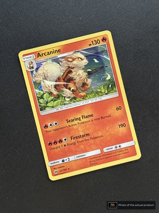 Arcanine SS-00000194