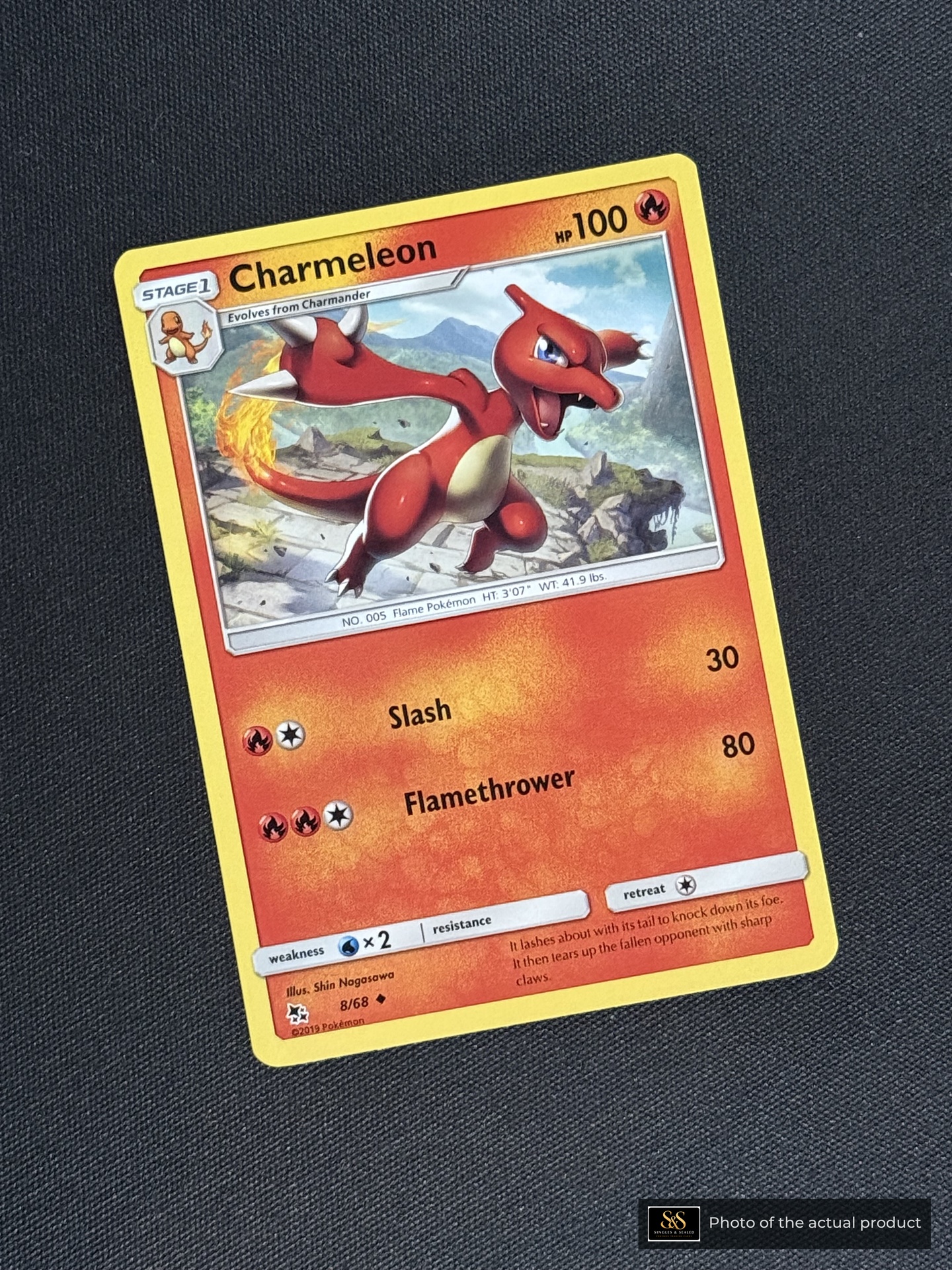 Charmeleon — echte voorzijde