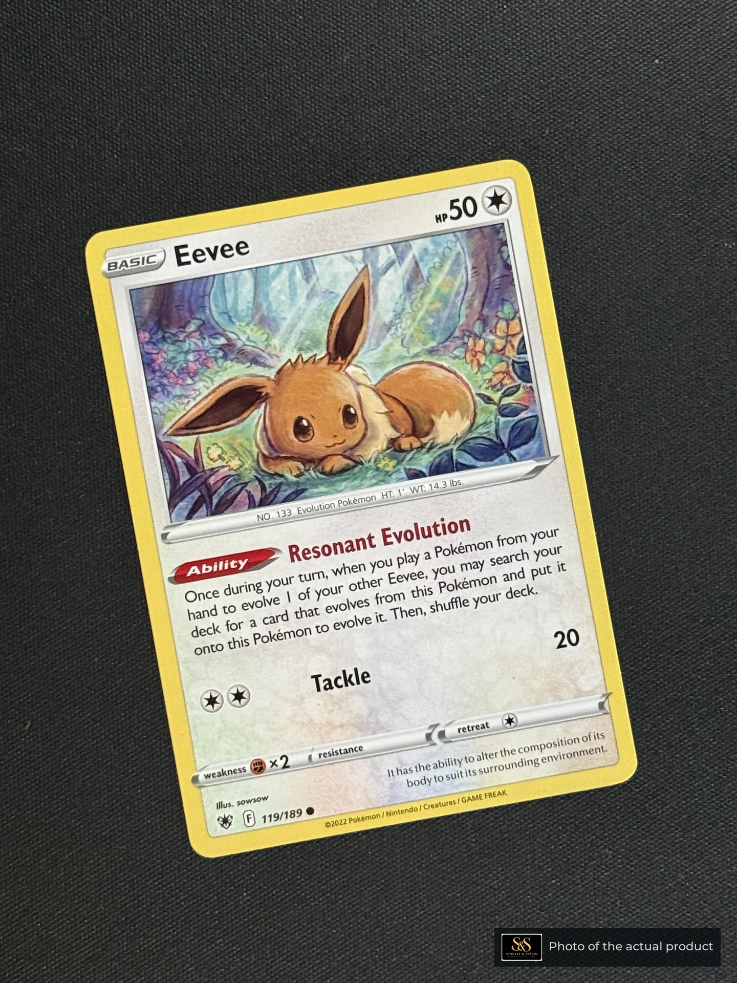 Eevee — echte voorzijde