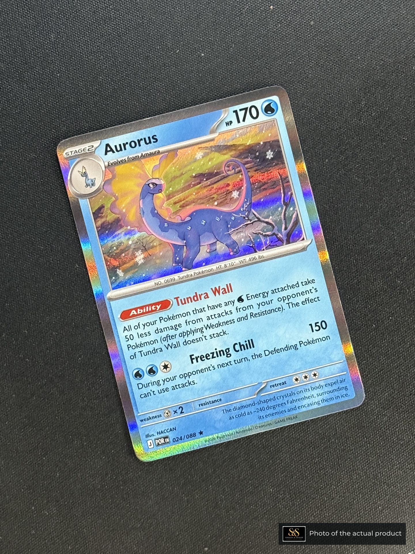 Aurorus — echte voorzijde