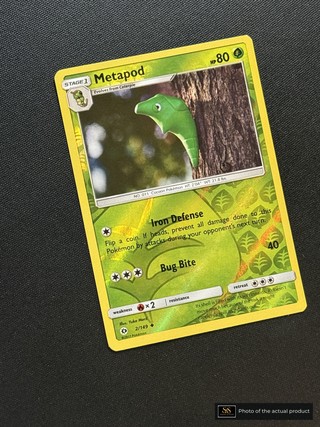 Metapod SS-00000603