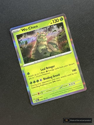 Wo-Chien SS-00000320
