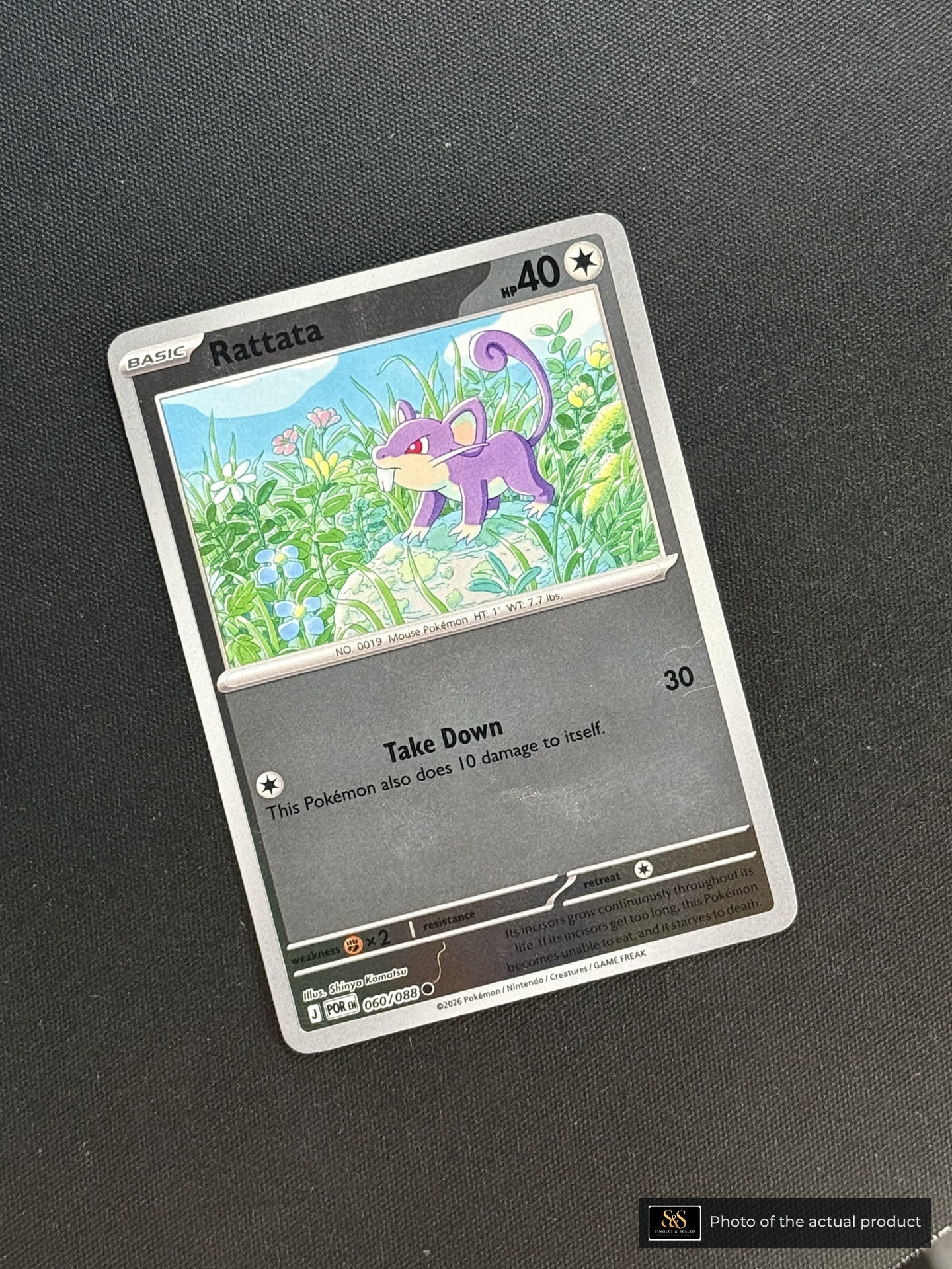 Rattata — echte voorzijde
