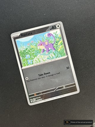 Rattata SS-00000222