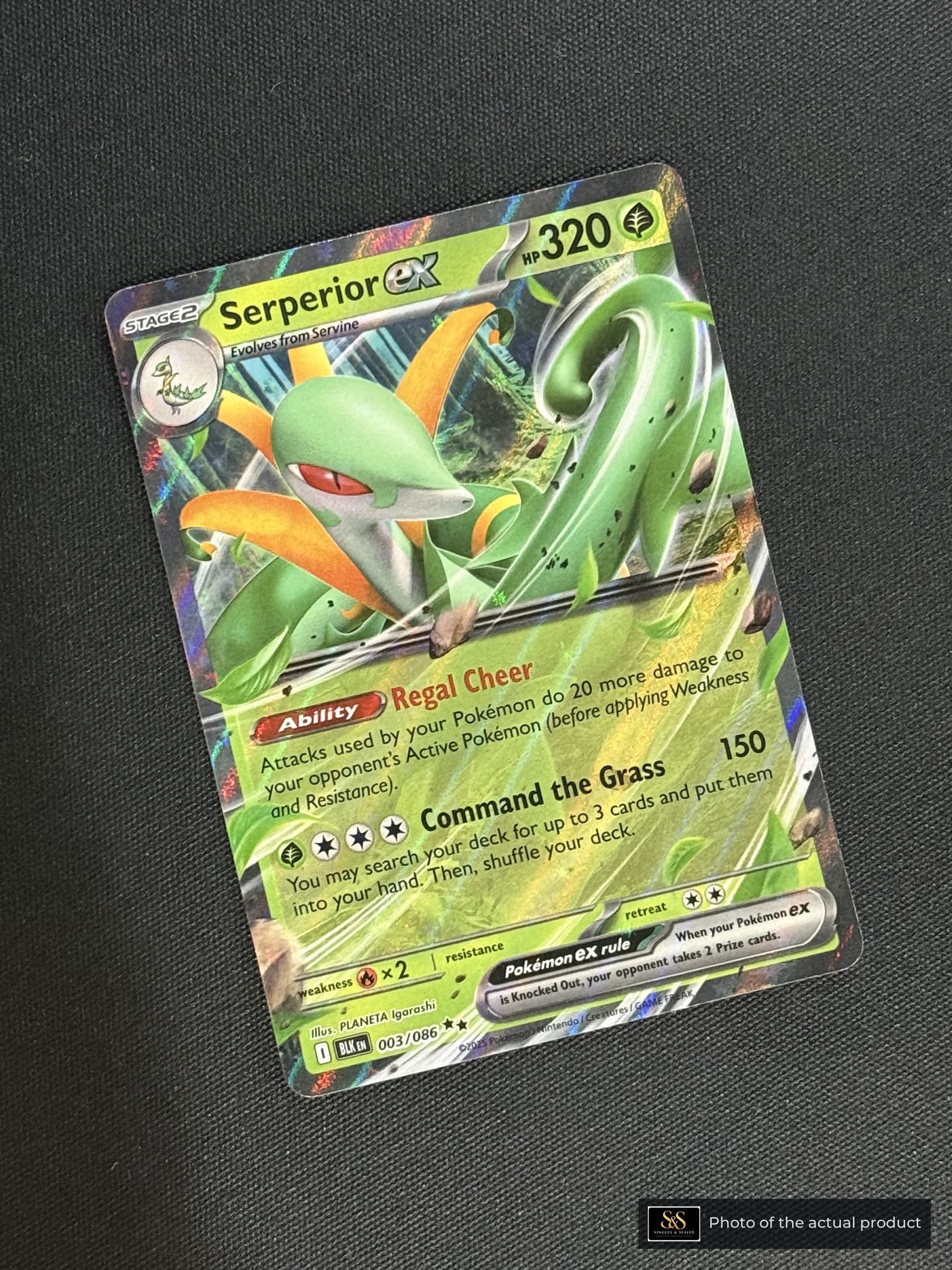 Serperior ex — echte voorzijde
