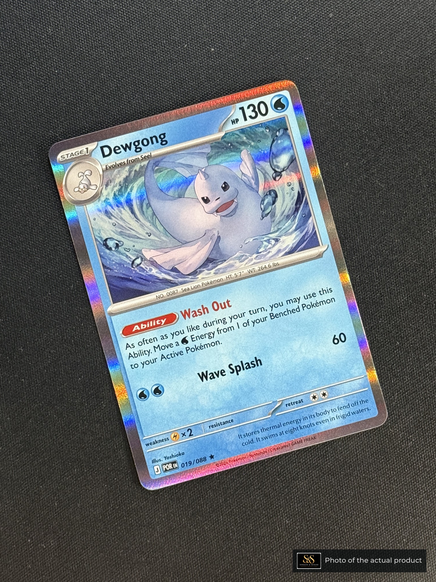 Dewgong — echte voorzijde