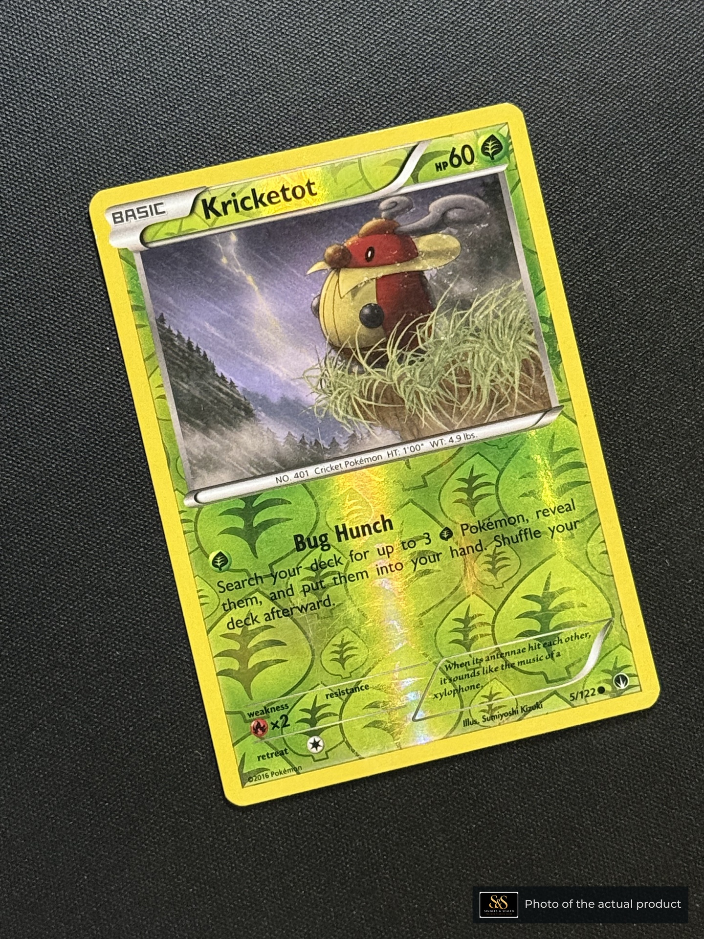 Kricketot — echte voorzijde