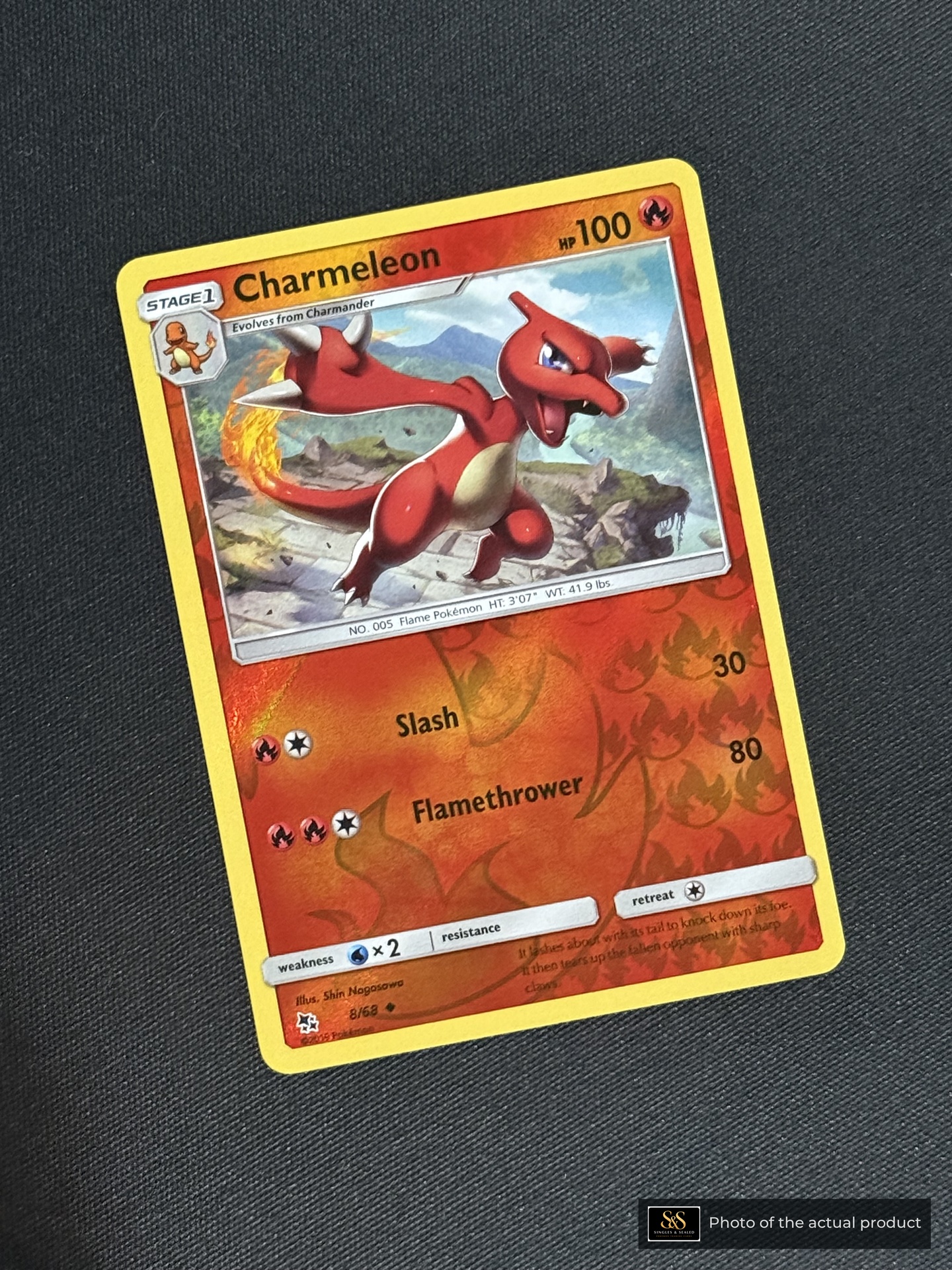 Charmeleon — echte voorzijde