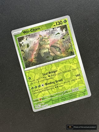 Wo-Chien SS-00000317