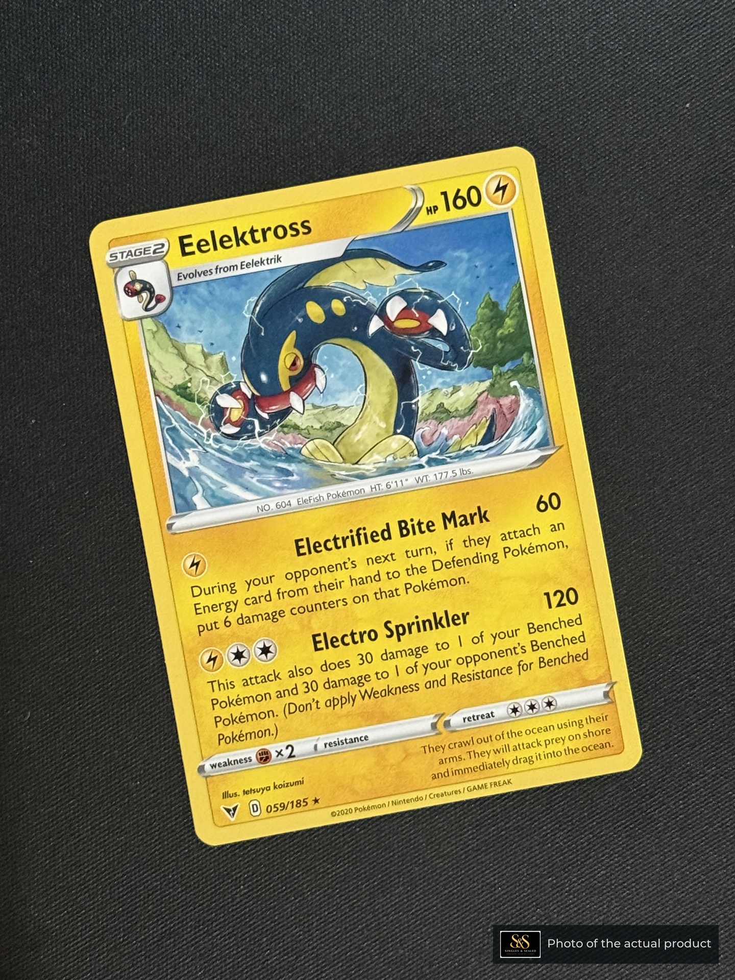 Eelektross — echte voorzijde
