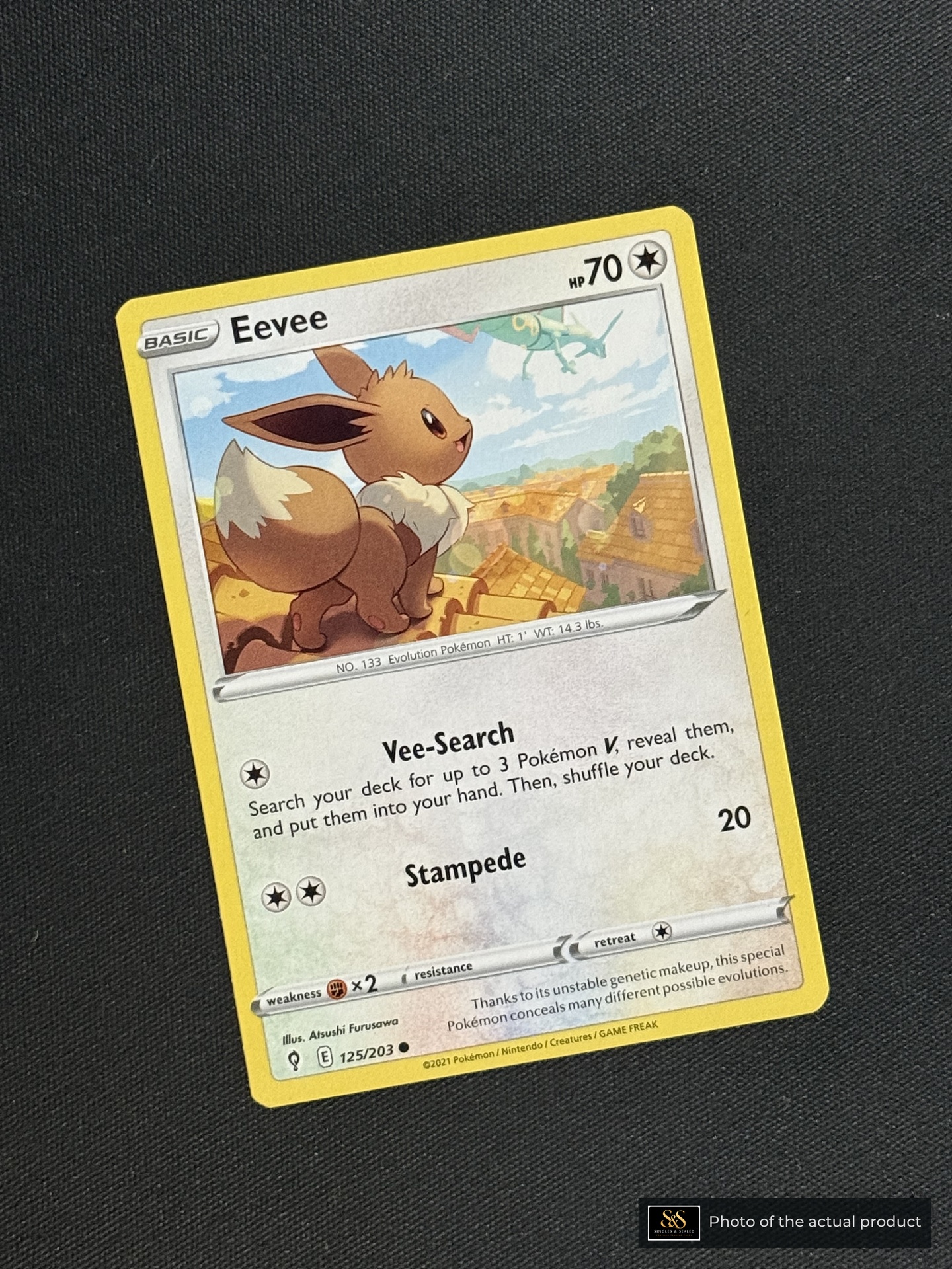 Eevee — echte voorzijde