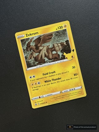 Zekrom SS-00000163