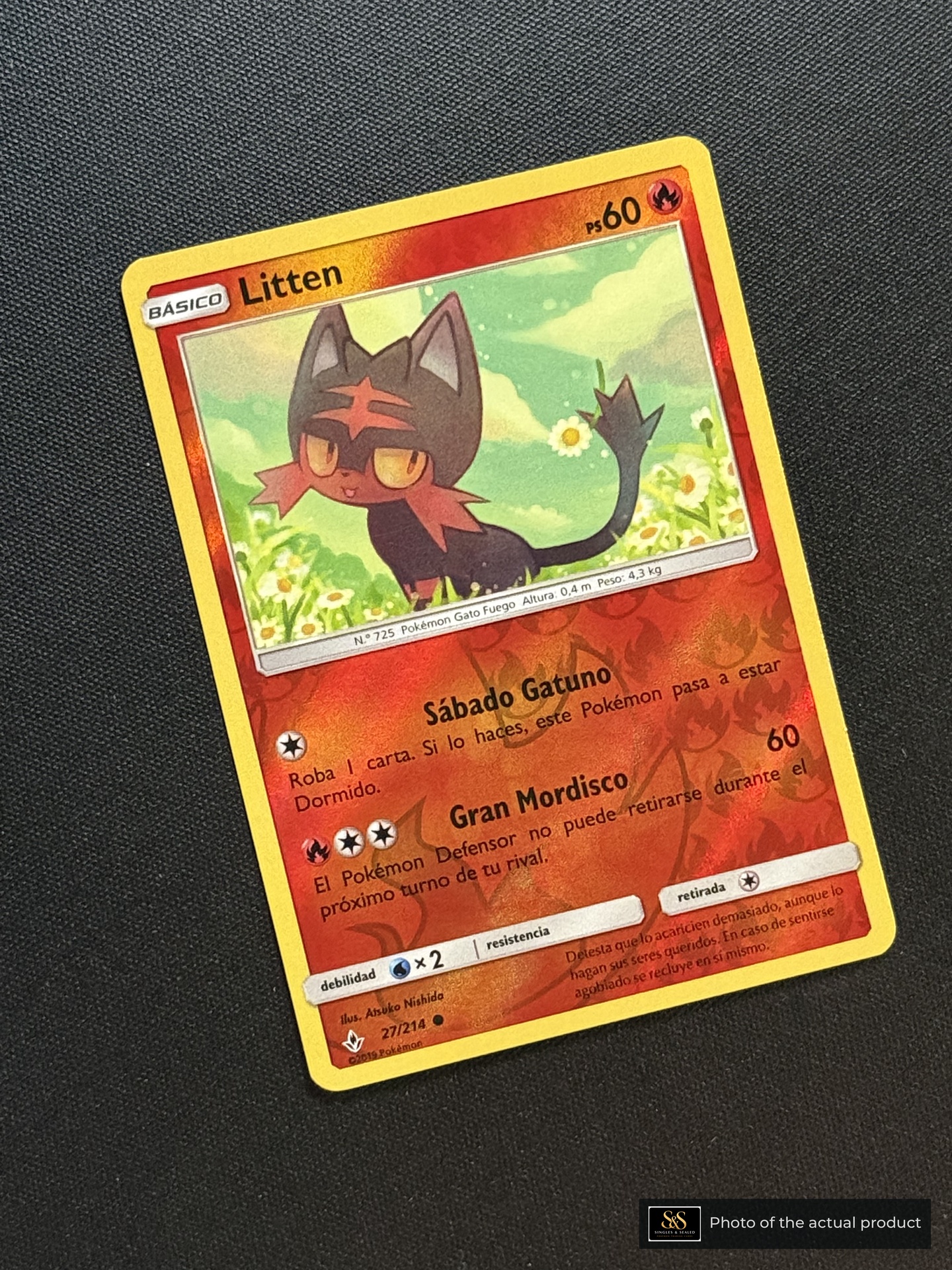 Litten — echte voorzijde