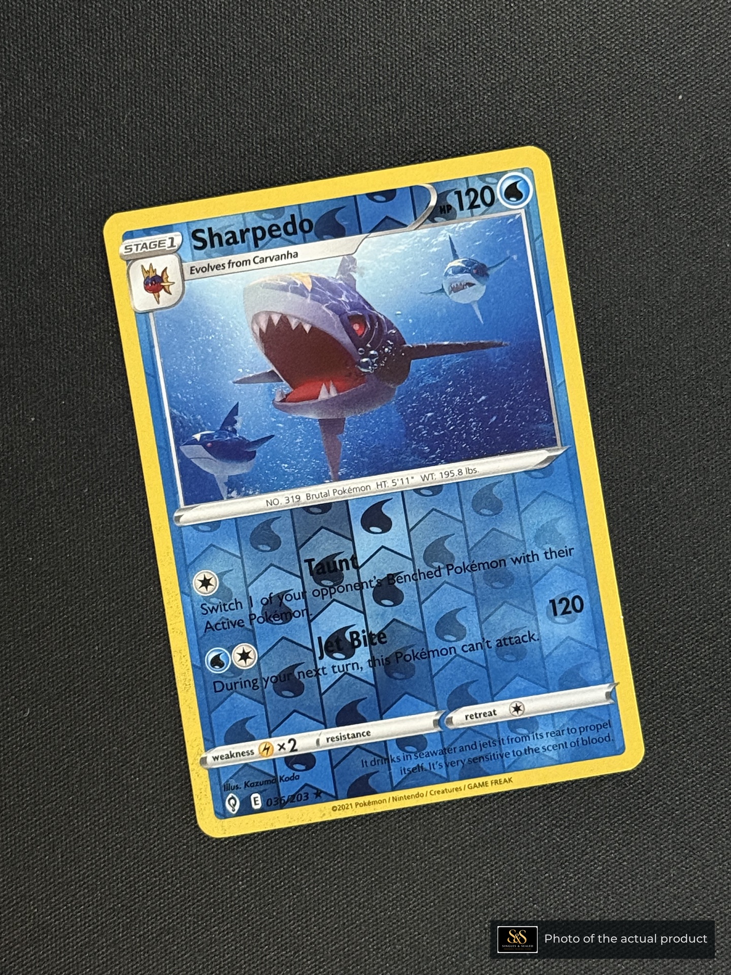 Sharpedo — echte voorzijde
