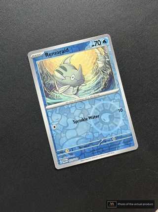 Remoraid SS-00000418