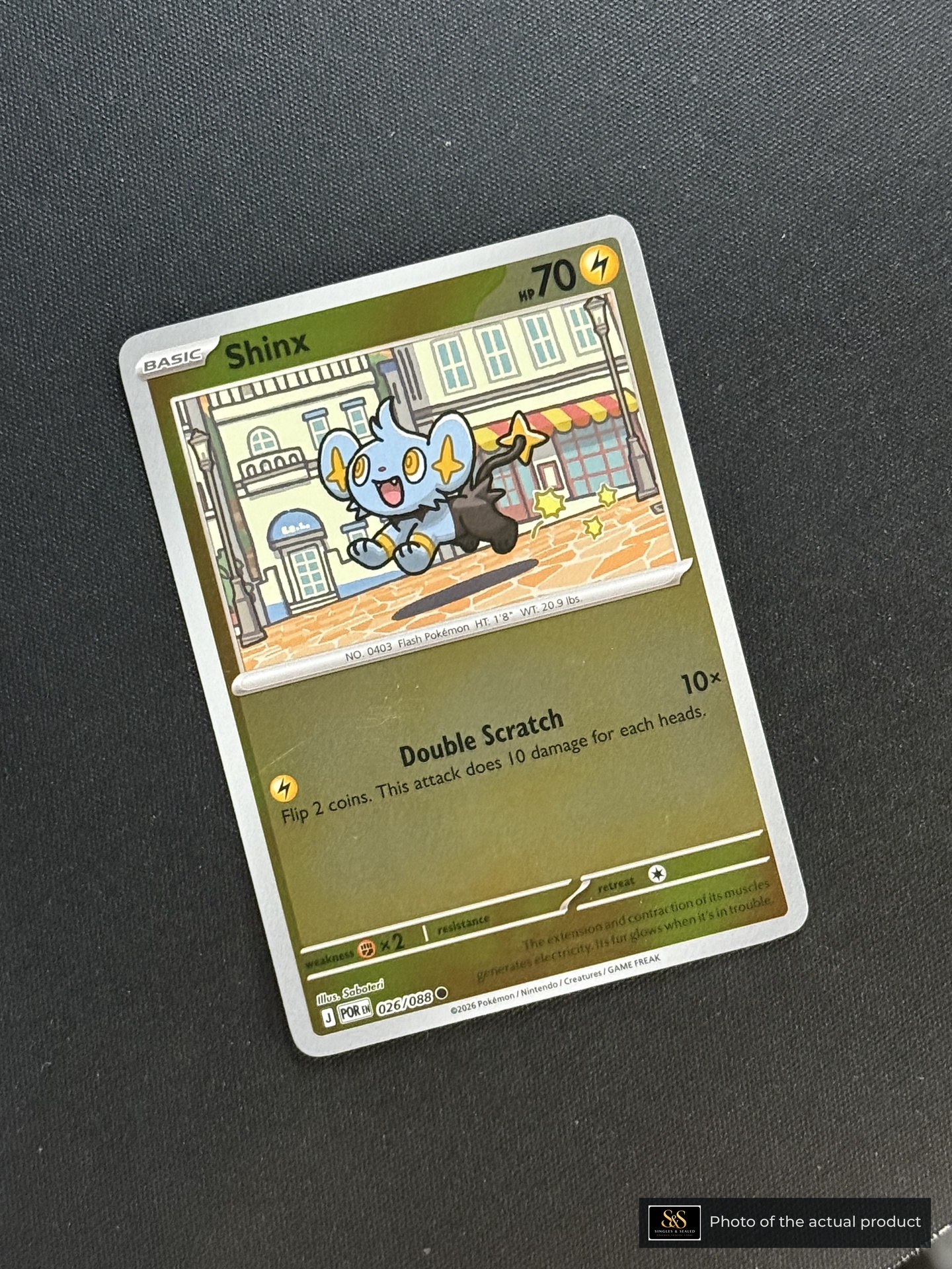 Shinx — echte voorzijde