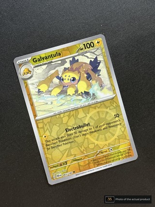 Galvantula SS-00000389