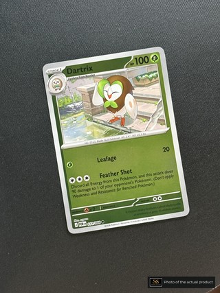 Dartrix SS-00000217