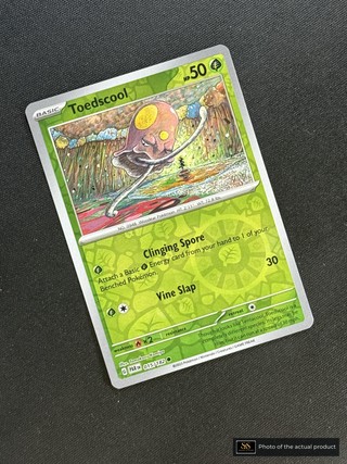Toedscool SS-00000322
