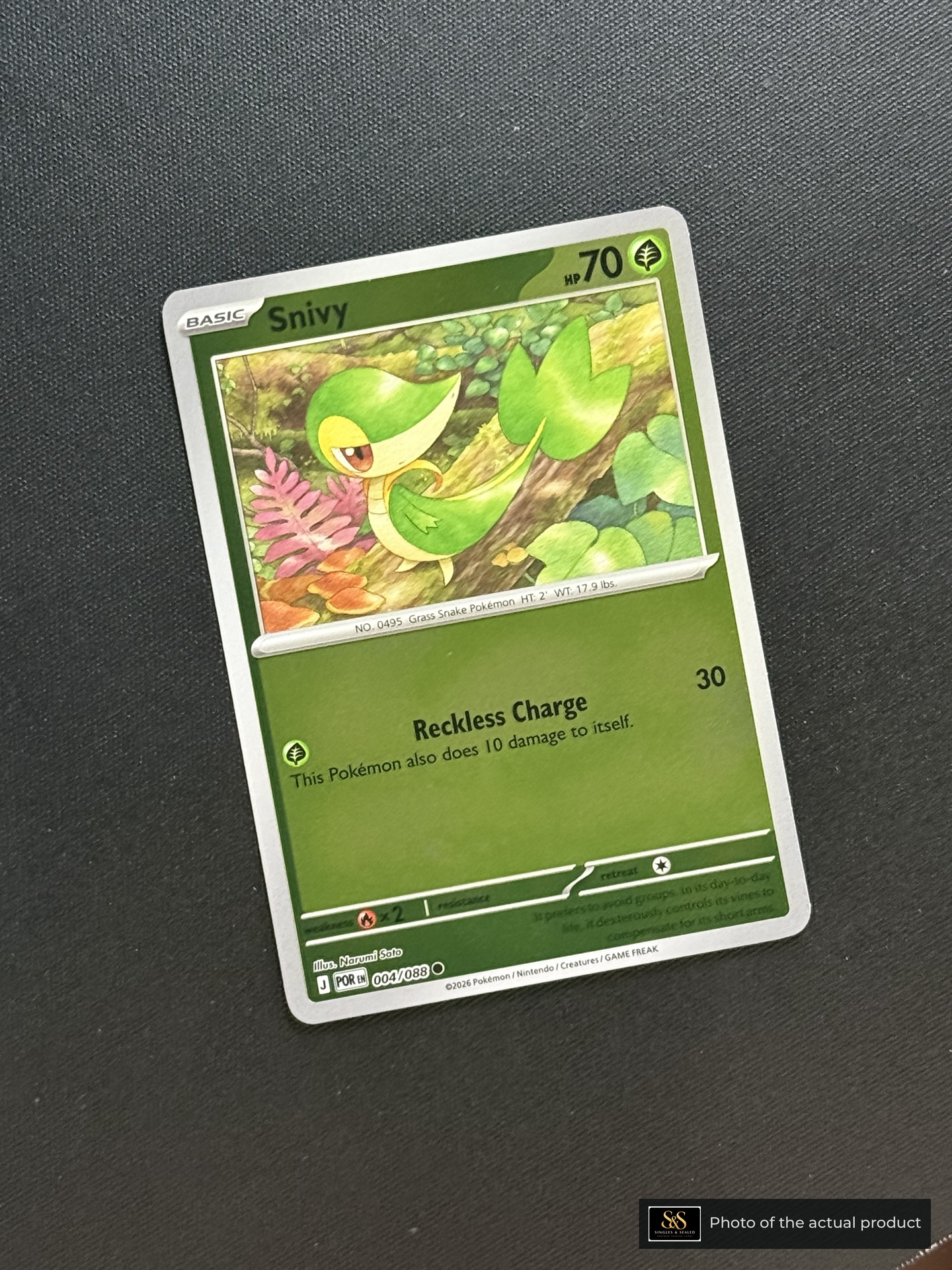 Snivy — echte voorzijde